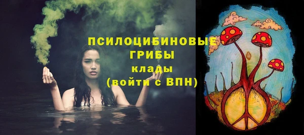spice Алзамай