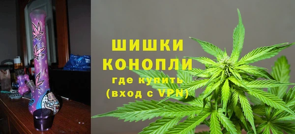 spice Алзамай